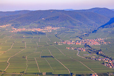 Vue aérienne de Vue de la ville depuis l'est. En arrière-plan, Burrweiler, en bordure du Haardt, dans la forêt du Palatinat, sous la lumière matinale. à Hainfeld dans le département Rhénanie-Palatinat, Allemagne
