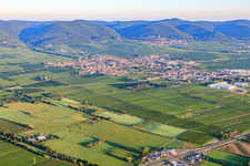 Enregistrement par drone de Edenkoben dans le département Rhénanie-Palatinat, Allemagne