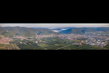 Vue aérienne de Panorama avec brouillard matinal de la région et des environs à Neustadt an der Weinstraße dans le département Rhénanie-Palatinat, Allemagne