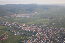 Quartier Mußbach in Neustadt an der Weinstraße dans le département Rhénanie-Palatinat, Allemagne depuis l'avion