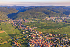Vue aérienne de Village viticole de l'est En arrière-plan Gimmeldingen au bord du Haardt dans la forêt du Palatinat dans la lumière du matin à le quartier Mußbach an der Weinstraße in Neustadt an der Weinstraße dans le département Rhénanie-Palatinat, Allemagne