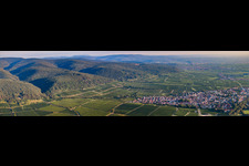 Vue aérienne de Panorama de la région et des environs à Deidesheim dans le département Rhénanie-Palatinat, Allemagne