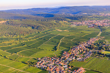 Vue aérienne de Vignobles Jesuitenmantel et Forster Pechstein au bord du Haardt dans la forêt du Palatinat à la lumière du matin à le quartier Forst in Forst an der Weinstraße dans le département Rhénanie-Palatinat, Allemagne