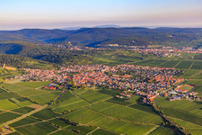 Vue aérienne de Village viticole du sud au bord du Haardt dans la forêt du Palatinat à la lumière du matin à le quartier Wachenheim in Wachenheim an der Weinstraße dans le département Rhénanie-Palatinat, Allemagne