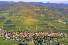 Vue aérienne de Village viticole en face des vignobles Jesuitenmantel et Forster Pechstein en bordure du Haardt dans la forêt du Palatinat à la lumière du matin à le quartier Forst in Forst an der Weinstraße dans le département Rhénanie-Palatinat, Allemagne