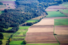 Niederhorbach dans le département Rhénanie-Palatinat, Allemagne vue d'en haut