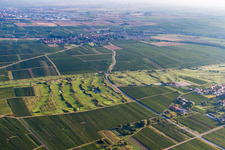 Photographie aérienne de Club de golf de la Route des vins allemande à Dackenheim dans le département Rhénanie-Palatinat, Allemagne