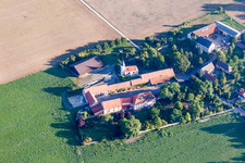 Vue aérienne de Église protestante Saint-Martin à Quirnheim dans le département Rhénanie-Palatinat, Allemagne