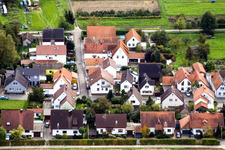 Gänsried à Freckenfeld dans le département Rhénanie-Palatinat, Allemagne depuis l'avion