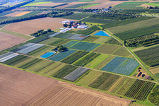 Vue aérienne de Campus Klein Altendorf Laboratoires externes de l'Université de Bonn à le quartier Wormersdorf in Rheinbach dans le département Rhénanie du Nord-Westphalie, Allemagne