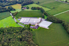 Vue aérienne de Serres de Gartenbau Schmidt à le quartier Vinkrath in Grefrath dans le département Rhénanie du Nord-Westphalie, Allemagne