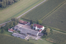 Vue aérienne de Hofgut Ludwigsau à le quartier Maximiliansau in Wörth am Rhein dans le département Rhénanie-Palatinat, Allemagne