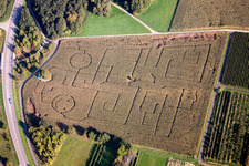 Vue aérienne de Labyrinthe - labyrinthe avec les contours des smileys sur un champ à Göcklingen dans le département Rhénanie-Palatinat, Allemagne