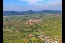 Vue aérienne de Village viticole sur la Kleine Kalmit à le quartier Ilbesheim in Ilbesheim bei Landau in der Pfalz dans le département Rhénanie-Palatinat, Allemagne