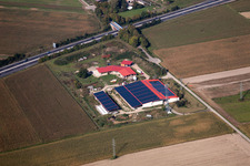 Ferme d'œufs à Erlenbach bei Kandel dans le département Rhénanie-Palatinat, Allemagne d'en haut