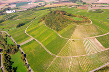Vue aérienne de Vignoble en forme de pyramide à le quartier Hüttenheim in Willanzheim dans le département Bavière, Allemagne