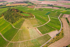 Vue aérienne de Vignoble en forme de pyramide à le quartier Hüttenheim in Willanzheim dans le département Bavière, Allemagne