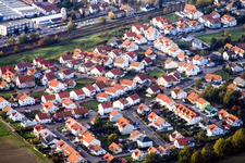 Vue aérienne de Rue Robert Koch à Bellheim dans le département Rhénanie-Palatinat, Allemagne