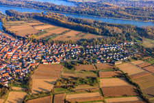 Vue aérienne de Dammstr à le quartier Neuburg in Neuburg am Rhein dans le département Rhénanie-Palatinat, Allemagne