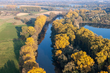 Vue aérienne de Hagenbach Vieux Rhin à le quartier Maximiliansau in Wörth am Rhein dans le département Rhénanie-Palatinat, Allemagne