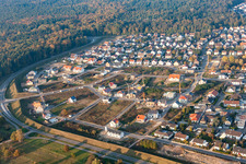 Vue aérienne de Forstlandallee à Jockgrim dans le département Rhénanie-Palatinat, Allemagne