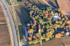 Vue aérienne de Protestation. Église à le quartier Wollmesheim in Landau in der Pfalz dans le département Rhénanie-Palatinat, Allemagne