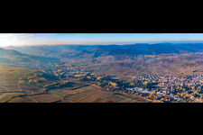 Vue aérienne de Panorama à Siebeldingen dans le département Rhénanie-Palatinat, Allemagne
