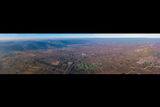 Vue aérienne de Route panoramique des vins et Haardtrand de Frankweiler au nord à Frankweiler dans le département Rhénanie-Palatinat, Allemagne