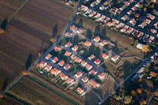 Quartier Nußdorf in Landau in der Pfalz dans le département Rhénanie-Palatinat, Allemagne vu d'un drone