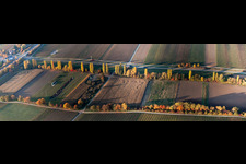 Vue aérienne de Perspective panoramique de rangées de peupliers aux couleurs de l'automne sur une route de campagne au bord d'un ruisseau à Roschbach dans le département Rhénanie-Palatinat, Allemagne
