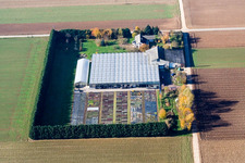 Vue oblique de Sudètes à Steinweiler dans le département Rhénanie-Palatinat, Allemagne