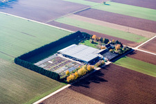 Vue d'oiseau de Sudètes à Steinweiler dans le département Rhénanie-Palatinat, Allemagne