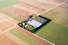 Image drone de Sudètes à Steinweiler dans le département Rhénanie-Palatinat, Allemagne