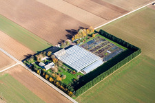 Sudetenhof à Steinweiler dans le département Rhénanie-Palatinat, Allemagne d'en haut