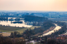 Vue aérienne de Vieux Rhin près de Neupotu à Neupotz dans le département Rhénanie-Palatinat, Allemagne