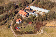 Vue aérienne de Moulin de Wanzheim à Rheinzabern dans le département Rhénanie-Palatinat, Allemagne