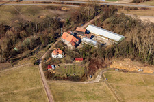 Photographie aérienne de Moulin de Wanzheim à Rheinzabern dans le département Rhénanie-Palatinat, Allemagne