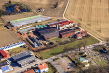 Vue aérienne de Schmiedhof à Neupotz dans le département Rhénanie-Palatinat, Allemagne