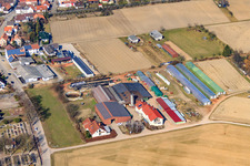 Vue oblique de Schmiedhof à Neupotz dans le département Rhénanie-Palatinat, Allemagne