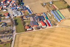 Schmiedhof à Neupotz dans le département Rhénanie-Palatinat, Allemagne d'en haut