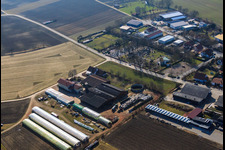 Ferme du forgeron et maison d'hôtes Neupotz à Neupotz dans le département Rhénanie-Palatinat, Allemagne vue d'en haut