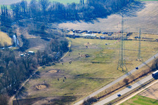 Vue aérienne de Pâturages à chevaux près du moulin de Wanzheim à Rheinzabern dans le département Rhénanie-Palatinat, Allemagne