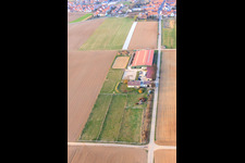 Centre équestre Fohlenhof à Steinweiler dans le département Rhénanie-Palatinat, Allemagne vu d'un drone