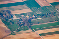 Harthausen dans le département Rhénanie-Palatinat, Allemagne vue du ciel