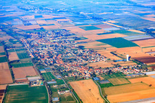 Vue aérienne de Vue de la ville depuis l'est à le quartier Niederlustadt in Lustadt dans le département Rhénanie-Palatinat, Allemagne