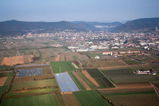 Vue oblique de Neustadt an der Weinstraße dans le département Rhénanie-Palatinat, Allemagne