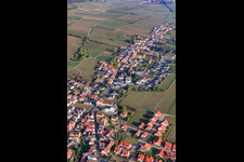 Vue aérienne de Weinstr à le quartier Forst in Forst an der Weinstraße dans le département Rhénanie-Palatinat, Allemagne