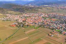 Vue aérienne de Ville viticole du sud-est à le quartier Wachenheim in Wachenheim an der Weinstraße dans le département Rhénanie-Palatinat, Allemagne