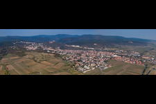 Vue aérienne de Panorama à le quartier Seebach in Bad Dürkheim dans le département Rhénanie-Palatinat, Allemagne