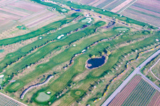 Vue aérienne de Zone du parcours de golf Golfgarten Golfgarten German Wine Route à Dackenheim dans le département Rhénanie-Palatinat, Allemagne